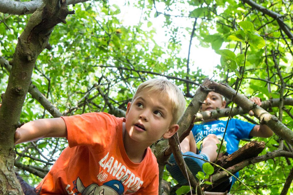 Zwei Jungen klettern in Baum